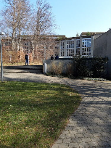Rezensionen über Realgymnasium Rämibühl in Zürich - Schule