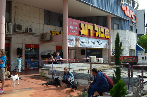 חנויות חיות אקזוטיות ירושלים