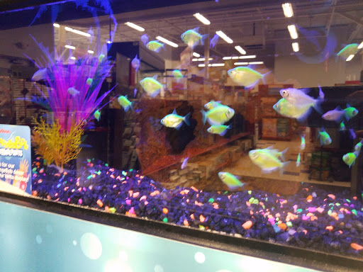 Pet Supply Store «Petco Animal Supplies», reviews and photos, 92 Cluff Crossing Rd, Salem, NH 03079, USA