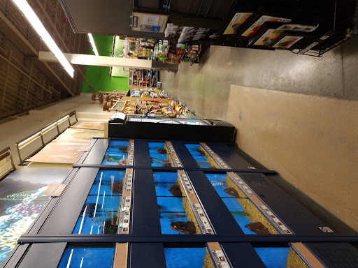 Pet Supply Store «Petco Animal Supplies», reviews and photos, 9111 Metropolitan Ave, Rego Park, NY 11374, USA