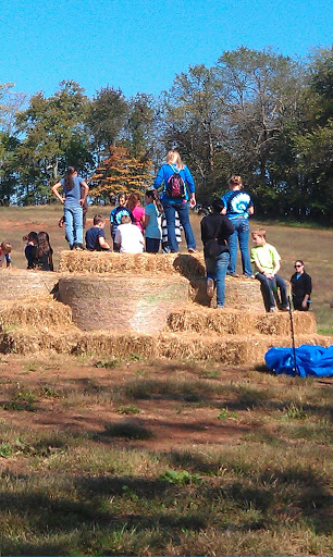 Pumpkin Patch «Liberty Mills Farm», reviews and photos, 9166 Liberty Mills Rd, Somerset, VA 22972, USA