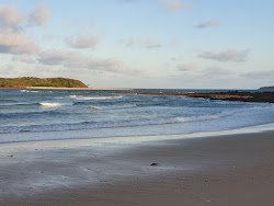 Photo de Shady Beach zone sauvage