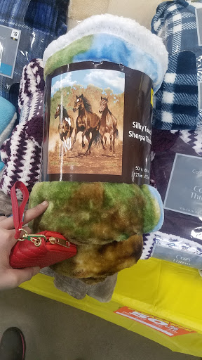 Discount Store «Dollar General», reviews and photos, 19579 US-17, Hampstead, NC 28443, USA