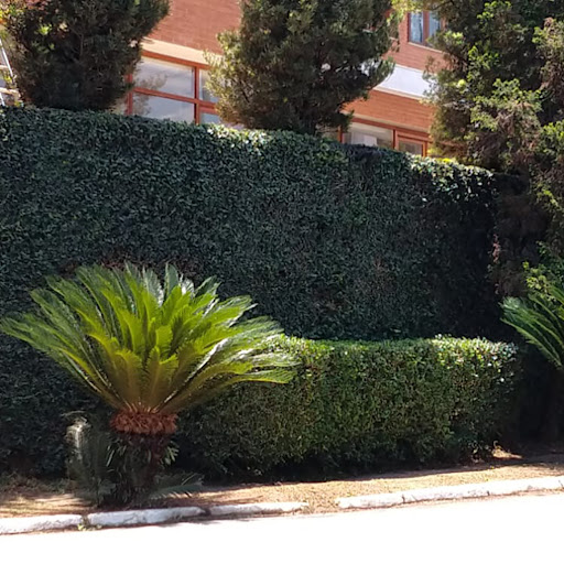 Logo da empresa - Edinilton Jardinagem