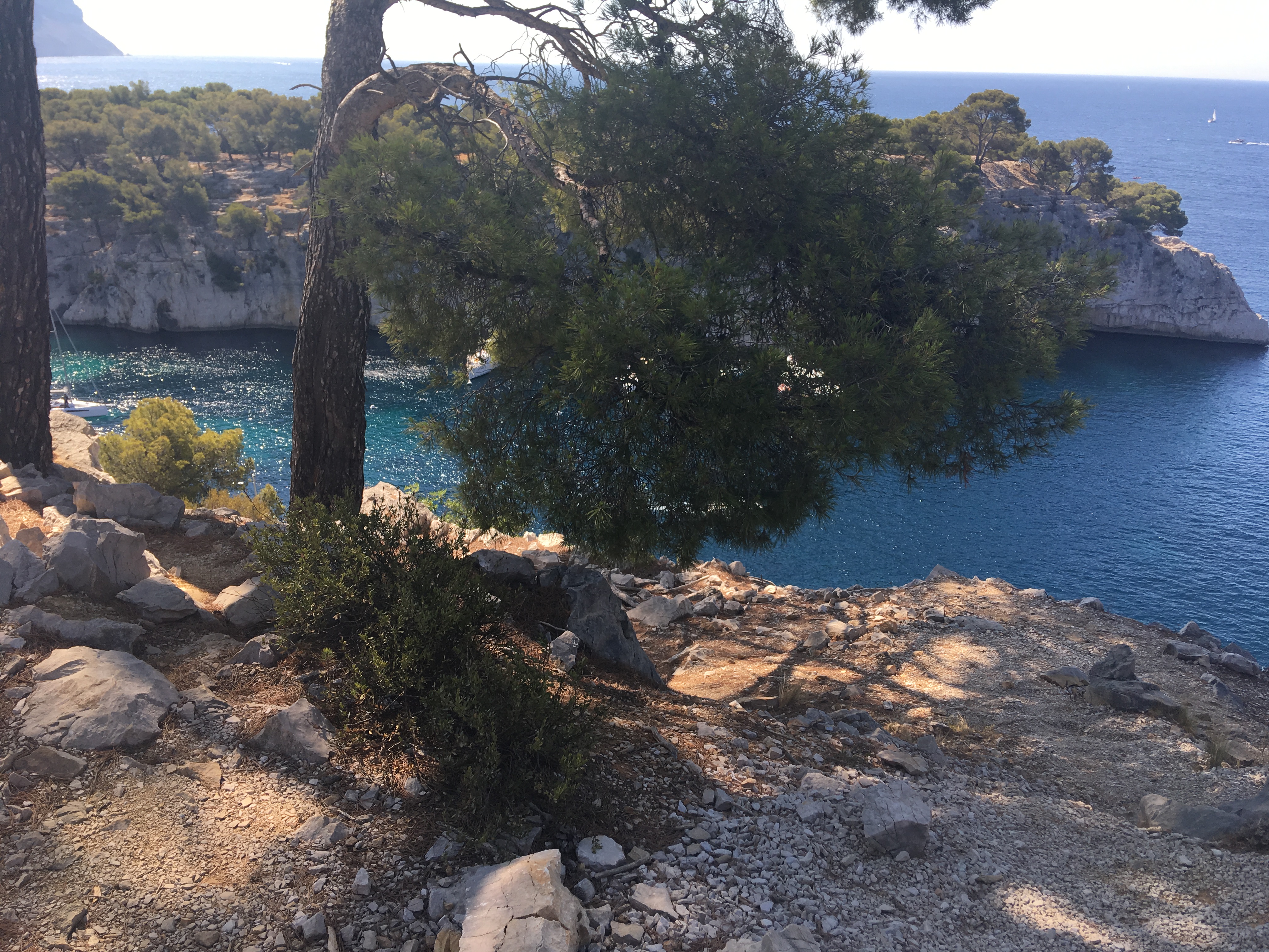 Photo n° 8 de l'avis de clémence.B fait le 30/07/2018 à 07:27