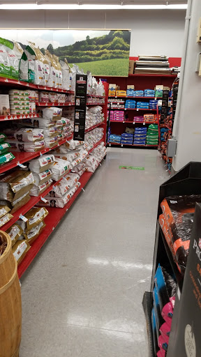 Pet Supply Store «Petco Animal Supplies», reviews and photos, 790 Waverly Rd, North Andover, MA 01845, USA