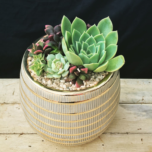 Florist «San Diego Bay Flower Co», reviews and photos, 4822 Santa Monica Ave, San Diego, CA 92107, USA