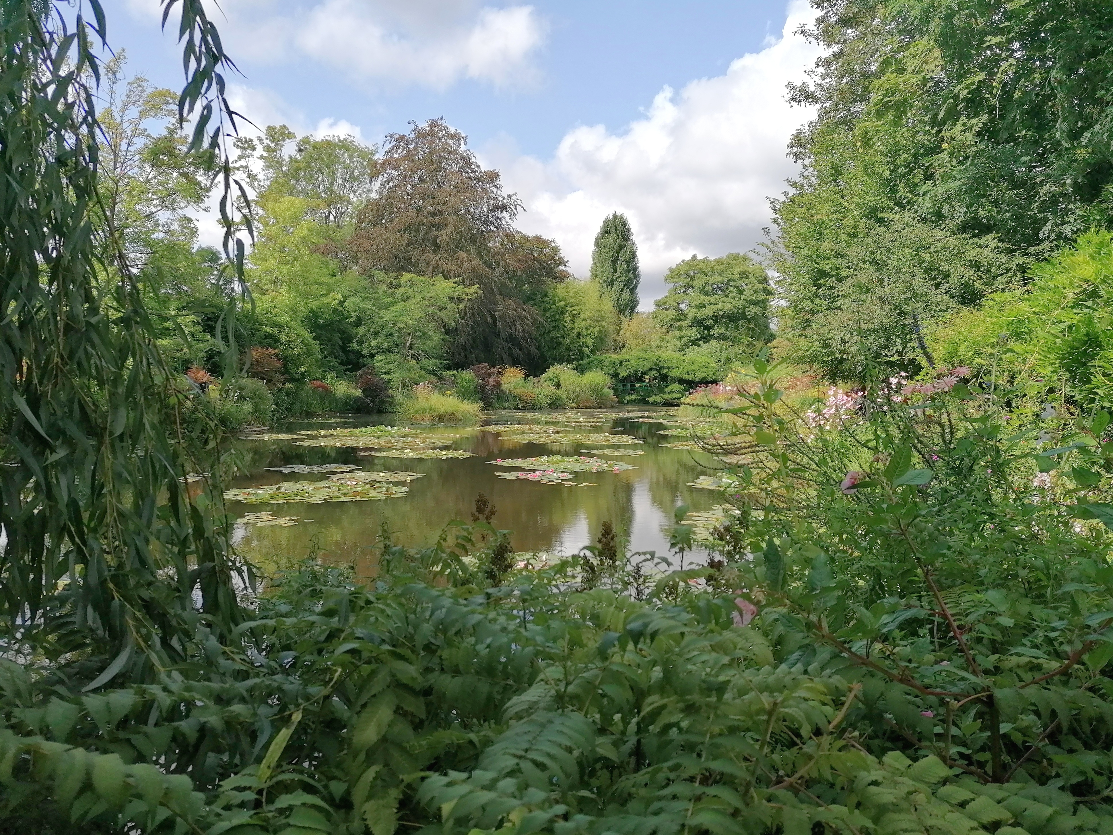 Photo n° 10 de l'avis de Sil.e fait le 29/08/2023 à 15:53