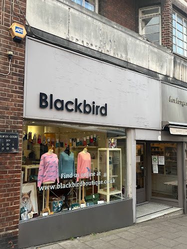 Blackbird Boutique - Clothing store