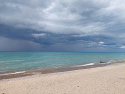 Murphy Road Beach的照片 野外区域