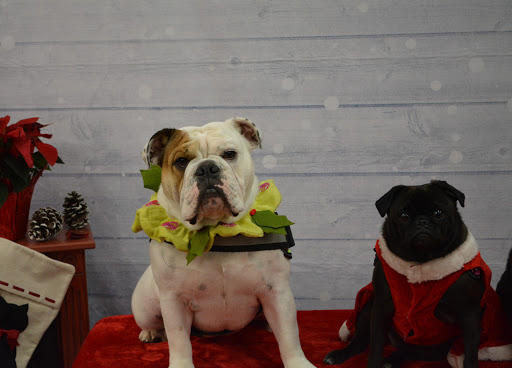 Pet Supply Store «The Natural Pet Enrichment Center», reviews and photos, 6720 Royalton Rd, North Royalton, OH 44133, USA