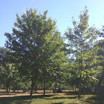 Photo n°3 de l'avis de carmine.r fait le 08/05/2017 à 07:46 sur le  Agriturismo Falode à Castello del Matese