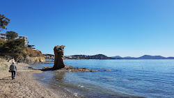 Foto von Plage de la Mitre mit sehr sauber Sauberkeitsgrad