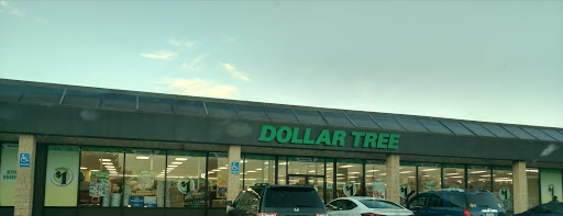 Dollar Tree image 7