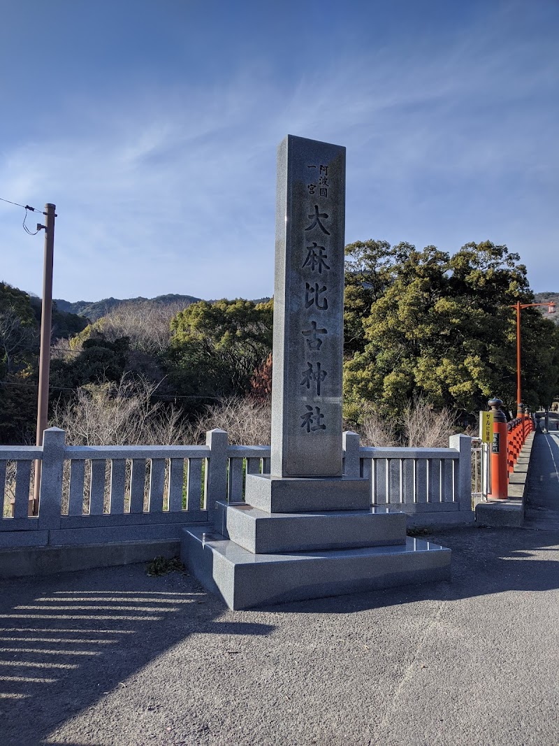 大麻比古神社のクスノキ