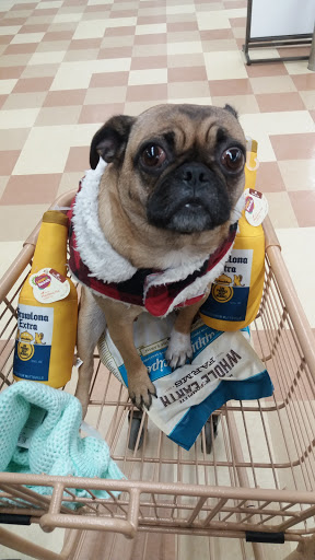 Pet Supply Store «Petco Animal Supplies», reviews and photos, 86 Storrs Rd, Mansfield Center, CT 06250, USA