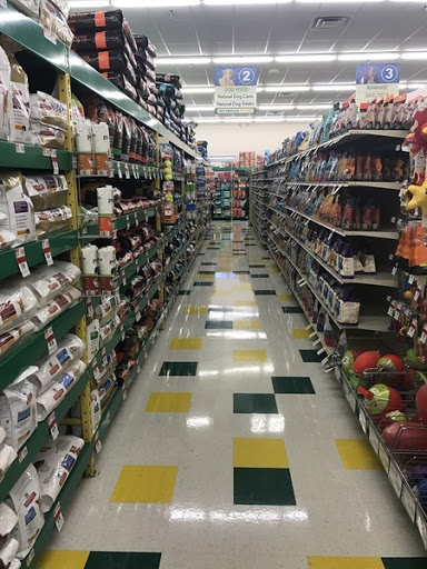 Pet Supply Store «Pet Supplies Plus», reviews and photos, 771 Gap Newport Pike, Avondale, PA 19311, USA