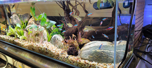 Pet Supply Store «Central Garden & Pet Co», reviews and photos, 13227 Orden Dr, Santa Fe Springs, CA 90670, USA