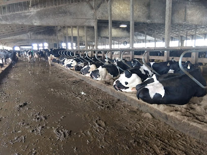 Niemerg Dairy Farm