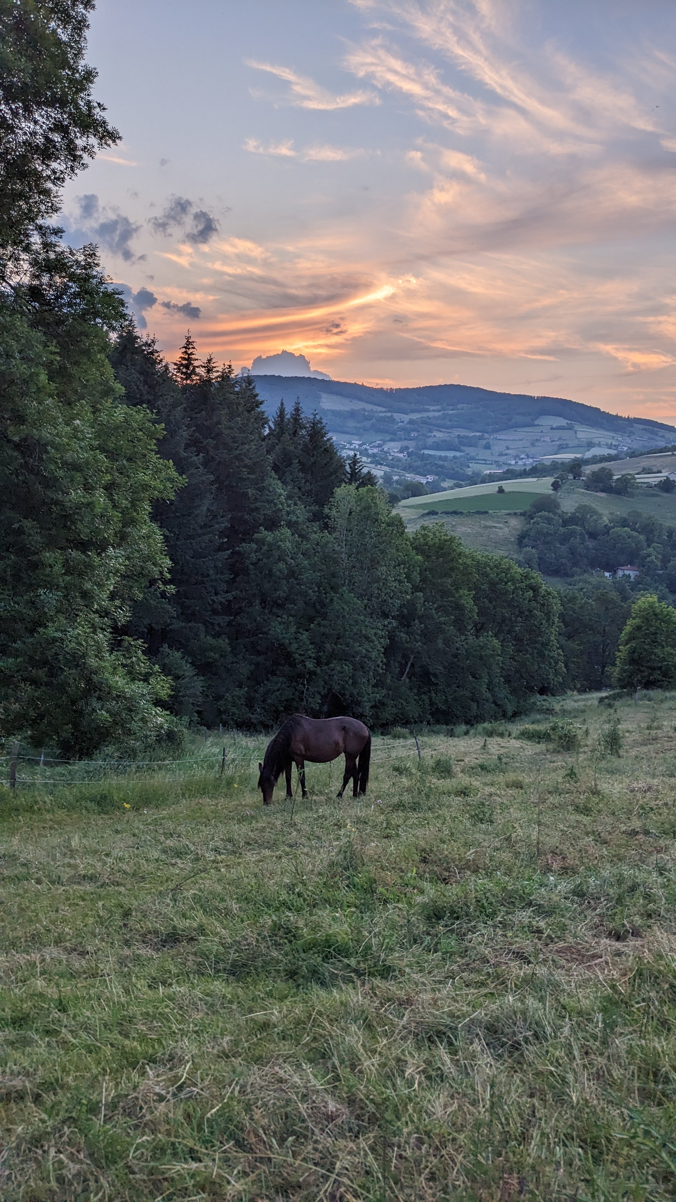 Photo n° 1 de l'avis de Jane.a fait le 31/12/2023 à 18:22