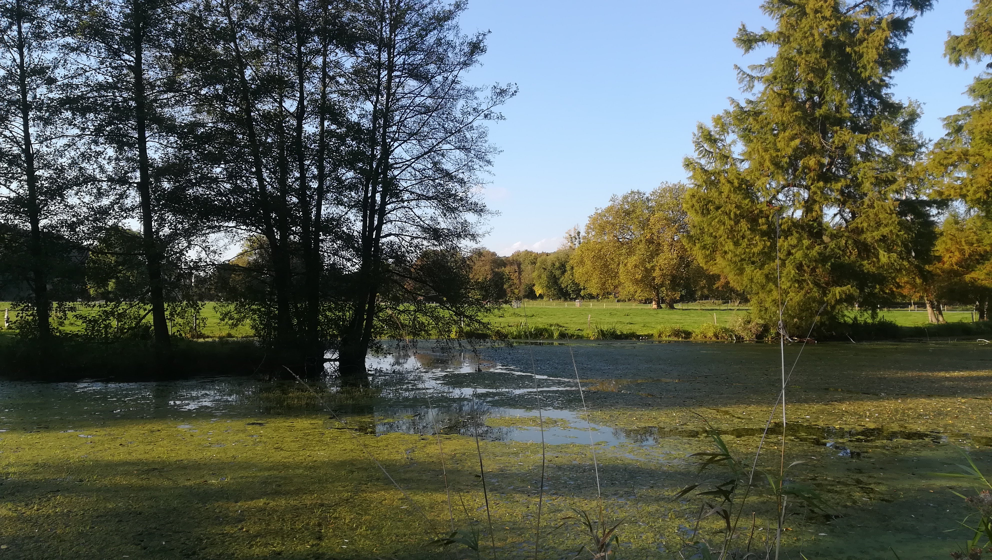 Photo n° 3 de l'avis de michel.a fait le 21/10/2018 à 16:31