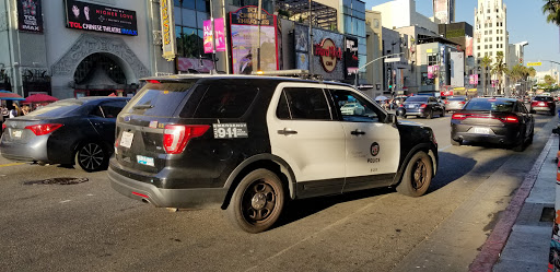 Lapd Hollywood Division