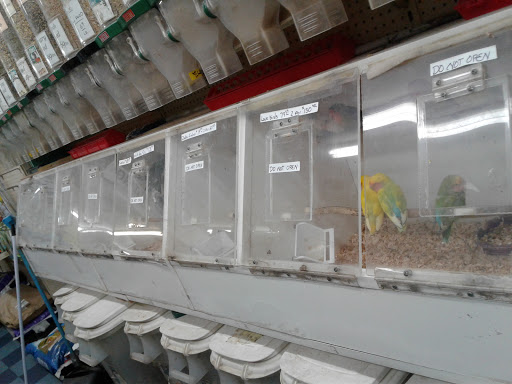 Pet Store «Jules Pet Shop», reviews and photos, 2214 N Milwaukee Ave, Chicago, IL 60647, USA