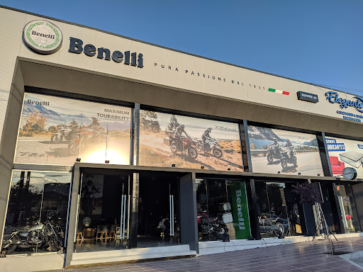 Benelli Store Runner 66