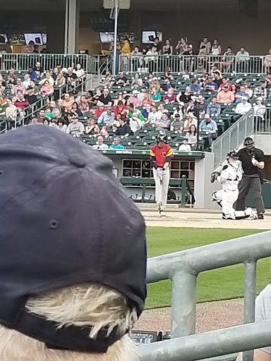 Baseball Club «Charlotte Knights Baseball Club», reviews and photos, 324 S Mint St, Charlotte, NC 28202, USA