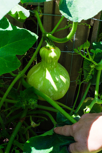 Meat Processor «Ranch Foods Direct», reviews and photos, 1228 E Fillmore St, Colorado Springs, CO 80907, USA