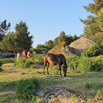 Photo n°7 de l'avis de Joao.u fait le 31/05/2021 à 11:22 sur le  Hotel Rural Madre de Água à Gouveia