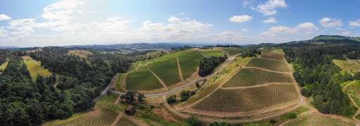 Winery «Colene Clemens Vineyards», reviews and photos, 22501 NE Dopp Rd, Newberg, OR 97132, USA