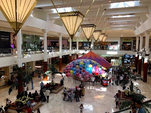 Carousel Court - photo 4