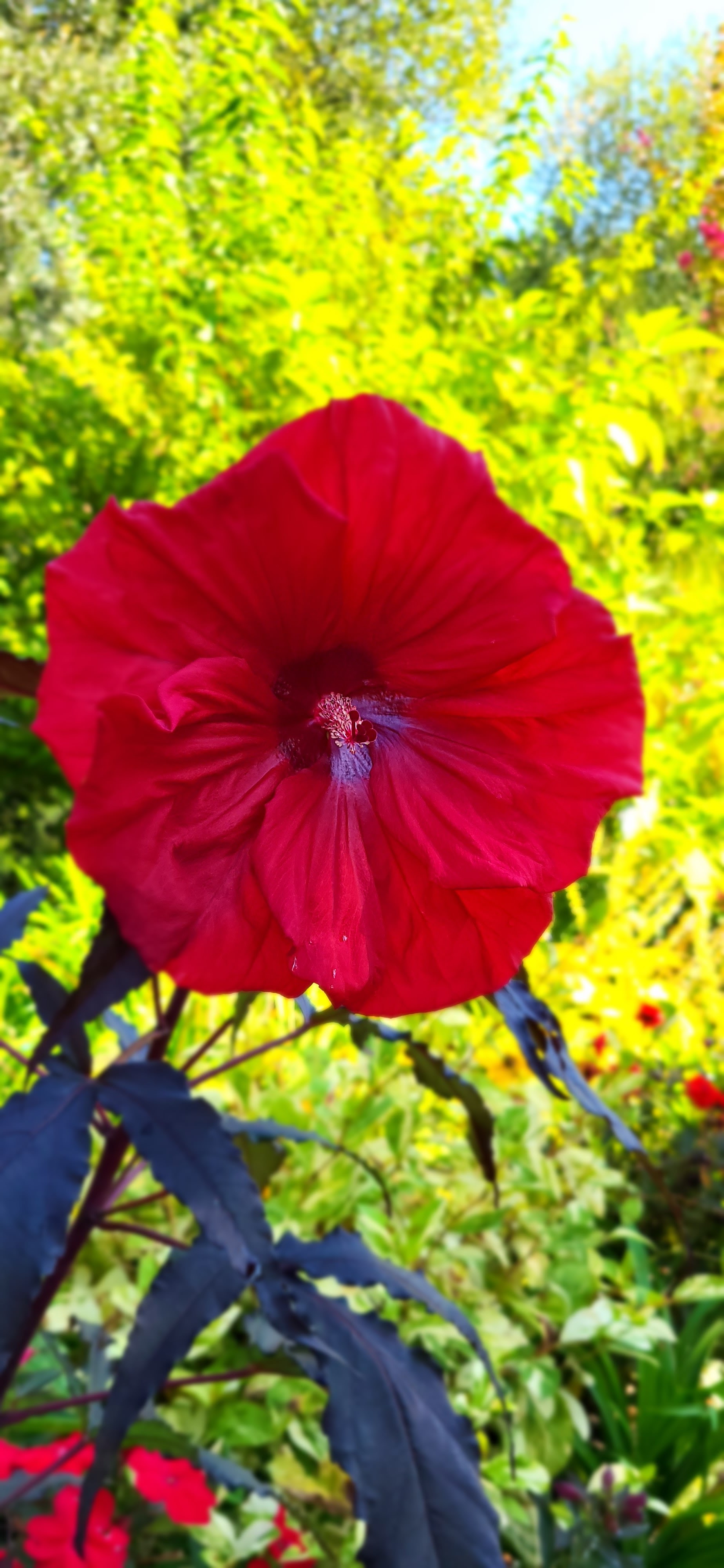 Photo n° 9 de l'avis de Béa.� fait le 21/08/2023 à 12:03