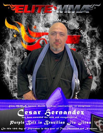 Martial Arts School «Elite Mixed Martial Arts - Houston», reviews and photos, 10640 Westheimer Rd, Houston, TX 77042, USA