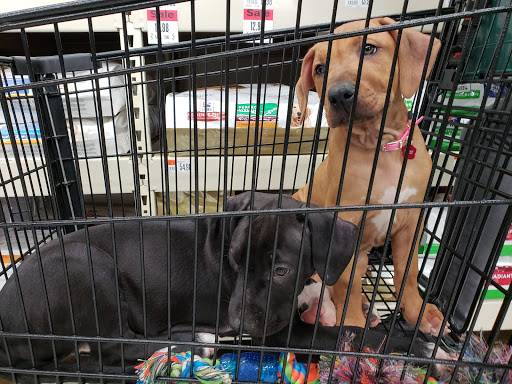 Pet Supply Store «Pet Supplies Plus», reviews and photos, 5394 Kemps River Dr Suite 101, Virginia Beach, VA 23464, USA