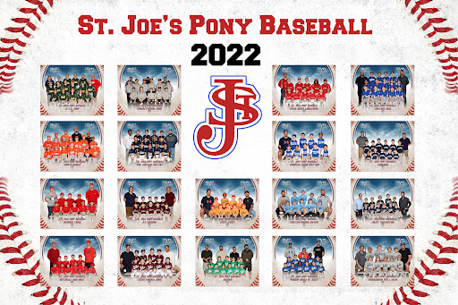 Photographer «Cherry Hill Studio», reviews and photos, 2517 Dougal Rd, Joliet, IL 60433, USA