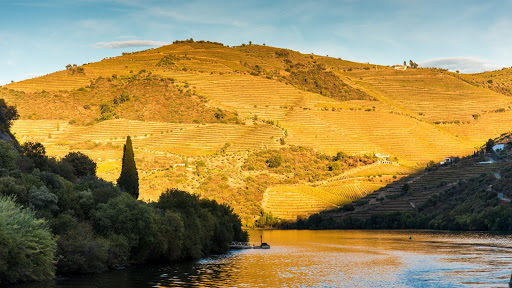 LAB Portugal Tours - Douro Valley Wine Tours & Experiences