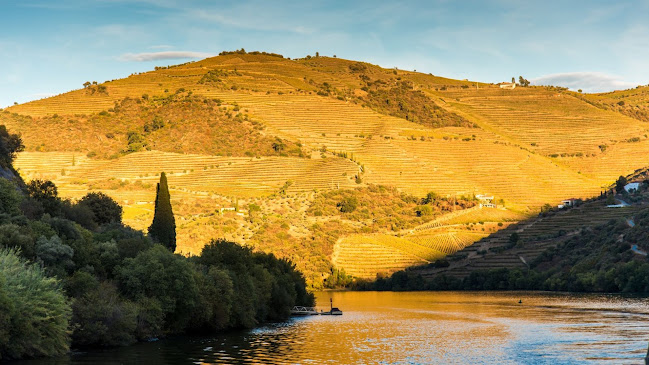 LAB Portugal Tours - Douro Valley Wine Tours & Experiences - Porto