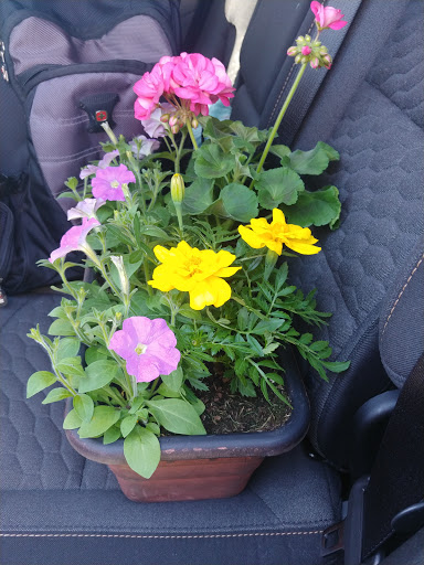 Grocery Store «Jewel-Osco», reviews and photos, 800 W North Ave, Melrose Park, IL 60160, USA