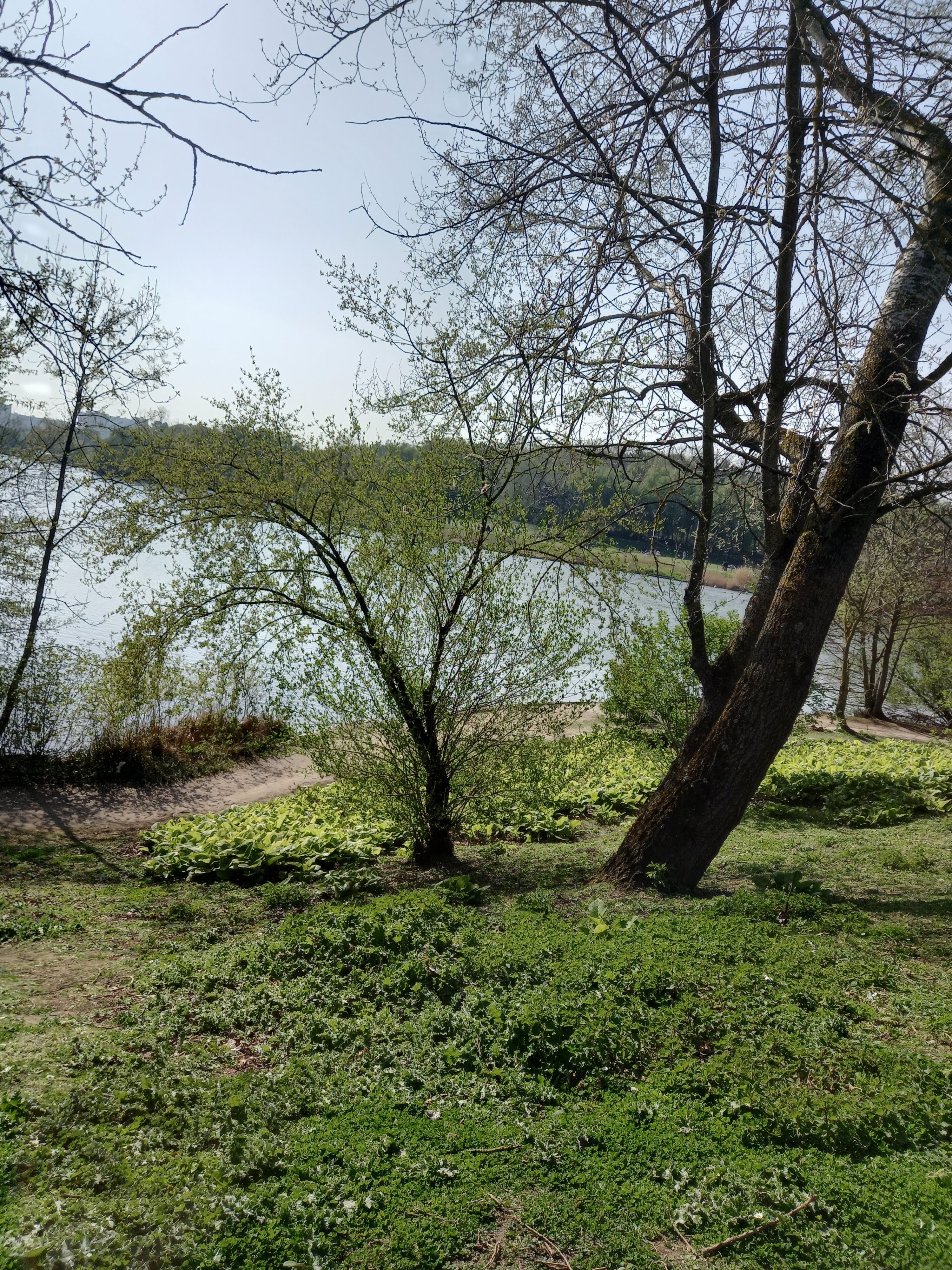 Photo n° 19 de l'avis de Stéphanie.I fait le 13/04/2021 à 18:48