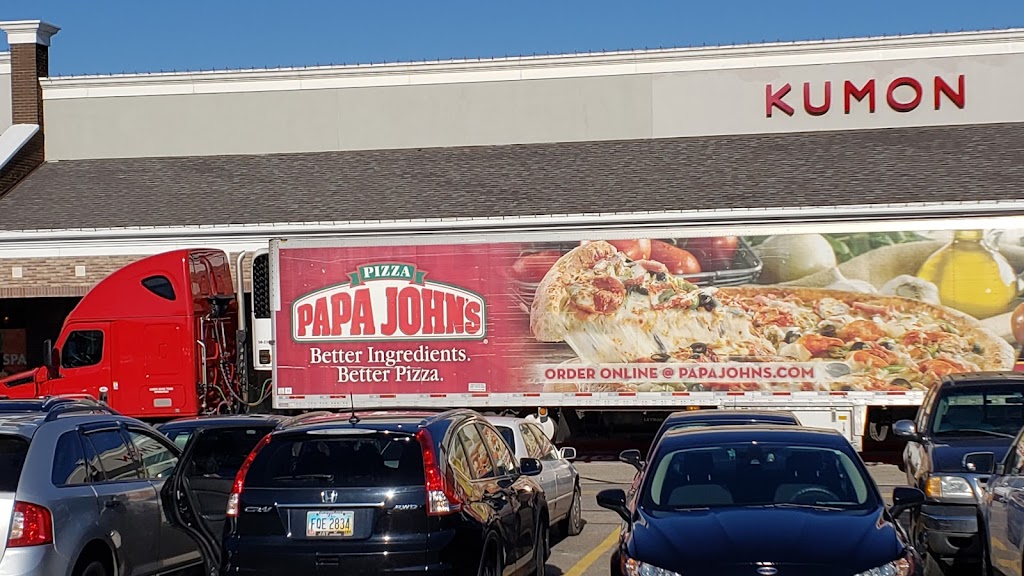 Papa John's Pizza 44139