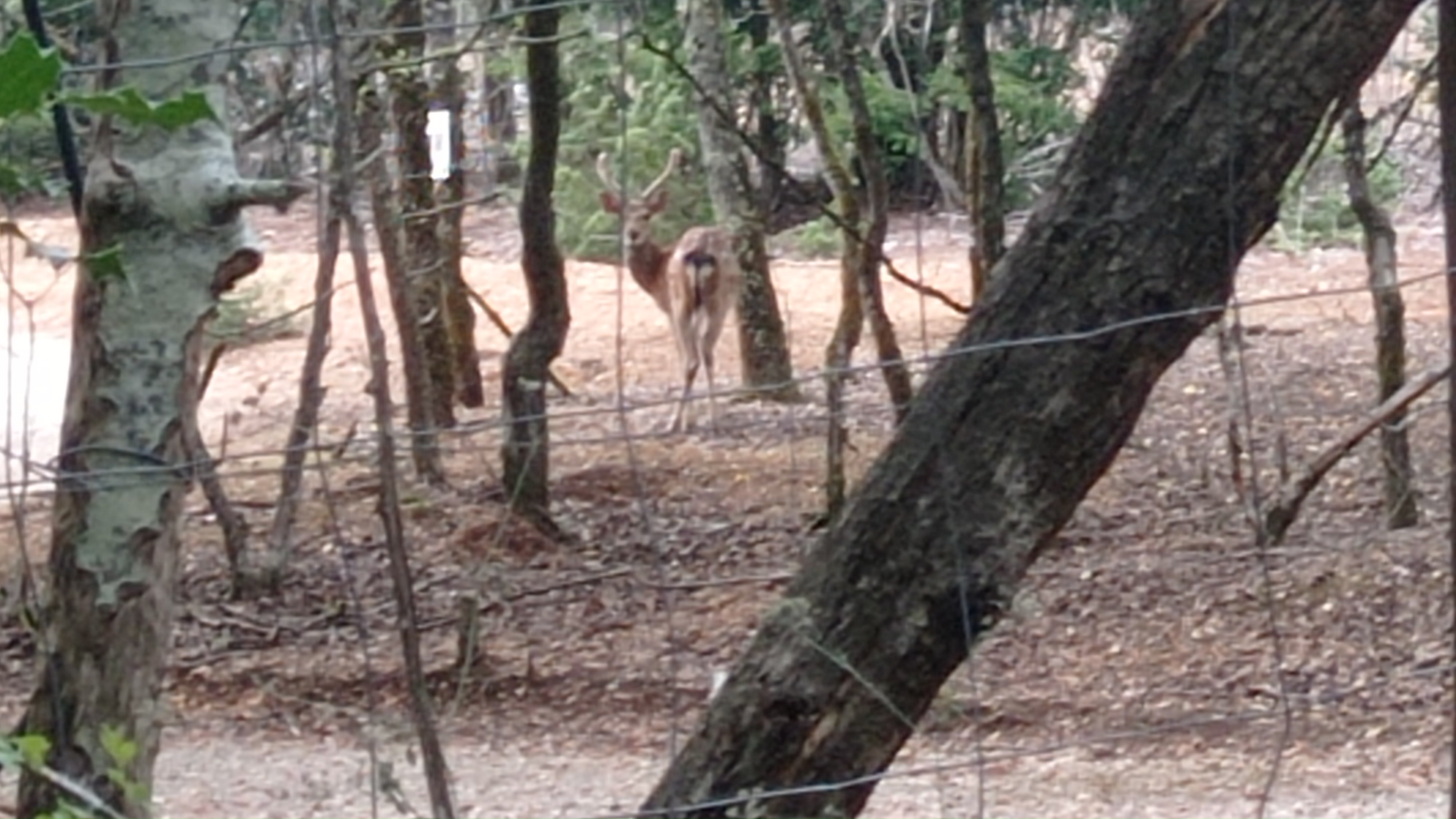 Photo n° 12 de l'avis de alain.o fait le 23/08/2022 à 08:56