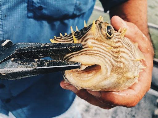 Boat Tour Agency «Good Time Charters», reviews and photos, 4765 Estero Blvd, Fort Myers Beach, FL 33931, USA