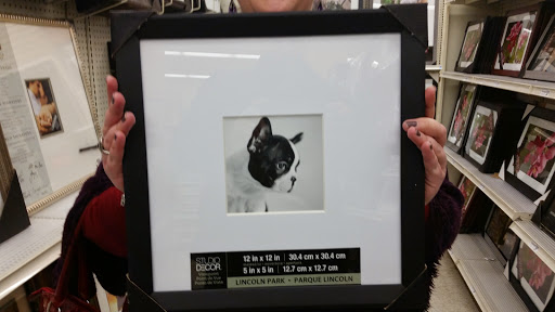 Craft Store «Michaels», reviews and photos, 50 Veterans Memorial Hwy, Commack, NY 11725, USA