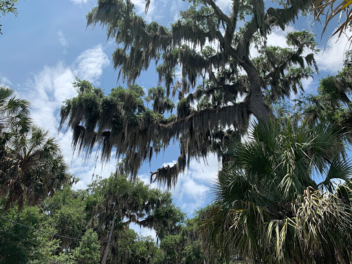 Sightseeing Tour Agency «Manatee Tour and Dive», reviews and photos, 36 NE 4th St, Crystal River, FL 34428, USA