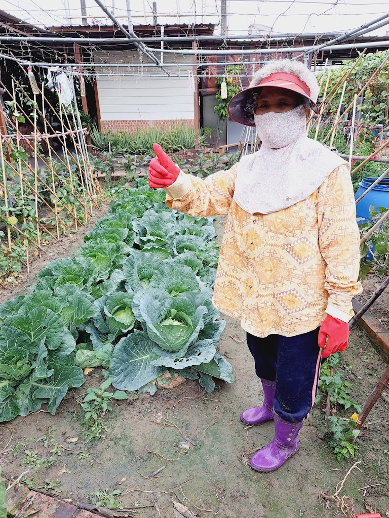 珍的虱目魚 的照片