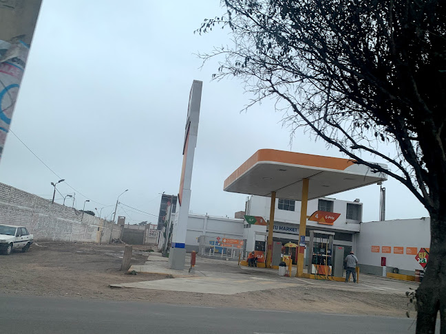 Grifo " EL Huaralino"