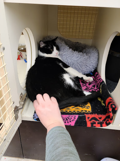 Pet Supply Store «Petco Animal Supplies», reviews and photos, 8700 Preston Rd #105, Plano, TX 75024, USA