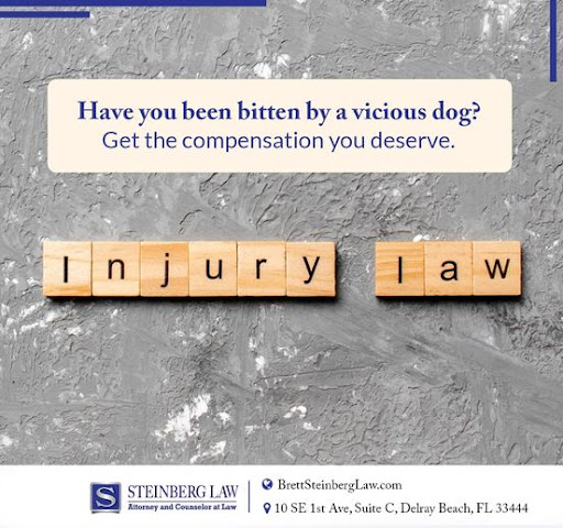 Personal Injury Attorney «Steinberg Law, P.A.», reviews and photos